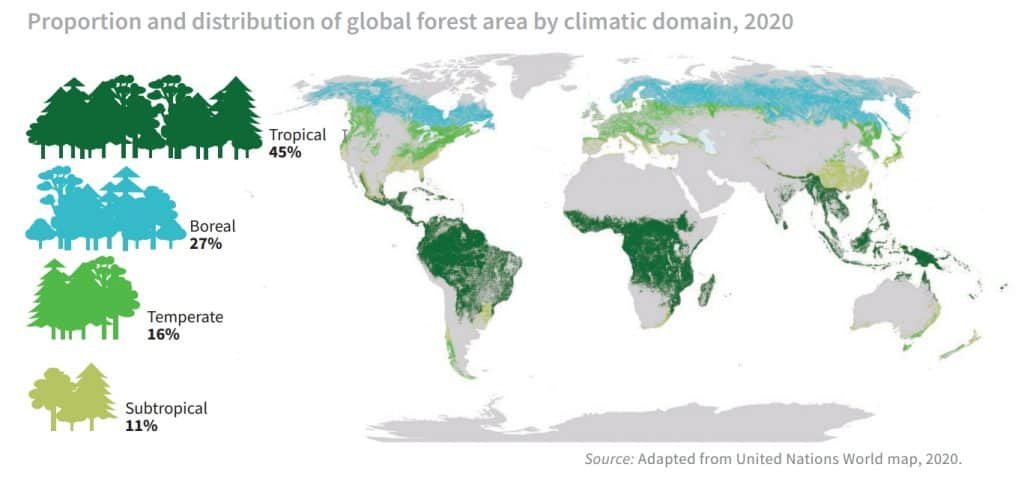 Proporzioni e distrubuzione delle aree forestali globali in funzione dei domini climatici 